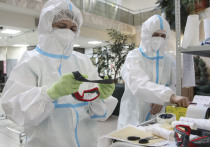 Россия уже вышла на плато по распространению коронавируса, что было целью системы здравоохранения
