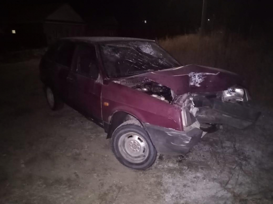 В Рязанской области девочка-подросток на «девятке» врезалась в дерево