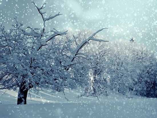 Надвигающийся на Воронеж снегопад может задержаться на сутки