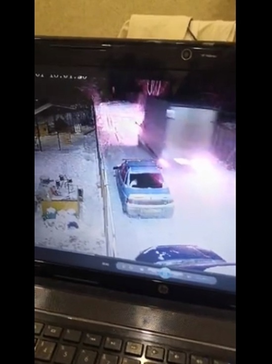 Суд наказал курганца, который сбил на Газели собаку