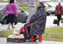 Россияне назвали основные причины своей бедности в ходе социологического опроса, проведенного Фондом общественного мнения (ФОМ)
