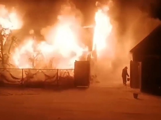 На пожаре в Башкирии погибли жители Челябинской области