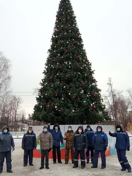 В йошкар-олинском Парке Победы установили 15-метровую ёлку