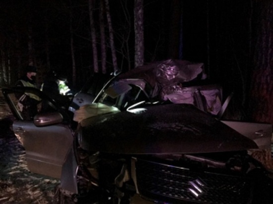 Возле Сысерти автомобиль Сузуки врезался в дерево: погибли двое