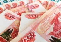 На три тысячи рублей вырастет средняя зарплата в Забайкальском крае в 2021 году по сравнению с этим годом