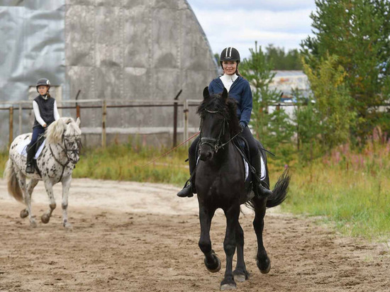 «Лечение лошадьми»: в Салехарде детей-инвалидов будут реабилитировать иппотерапией
