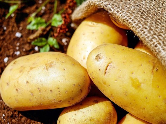 Брянская область заняла первое место по производству картофеля в России