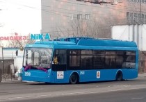 В Чите на улице Новобульварной недавно поступивший из Москвы троллейбус остановился и высадил пассажиров