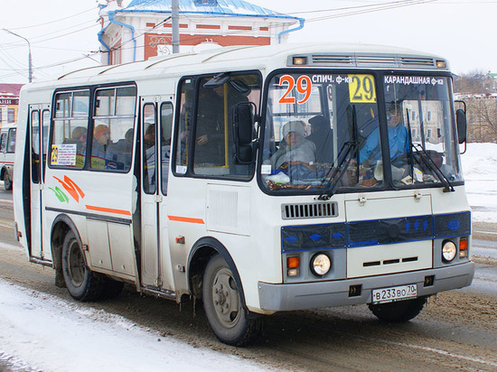В Томске водителя автобуса ограничили в свободе на год
