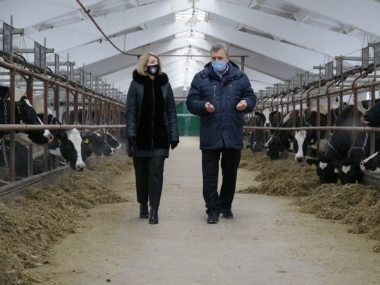 Открылся новый корпус молочной фермы одного из предприятий Серпухова
