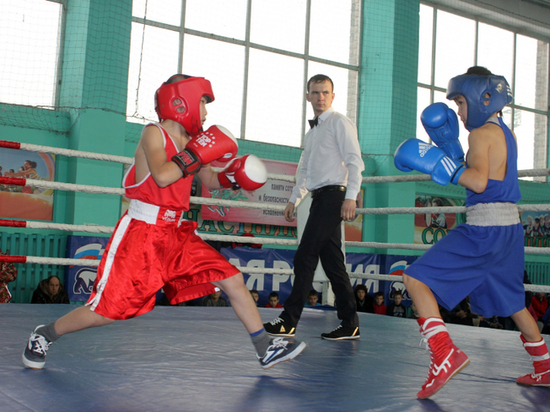 В Хакасии пройдут всевозрастные соревнования по боксу