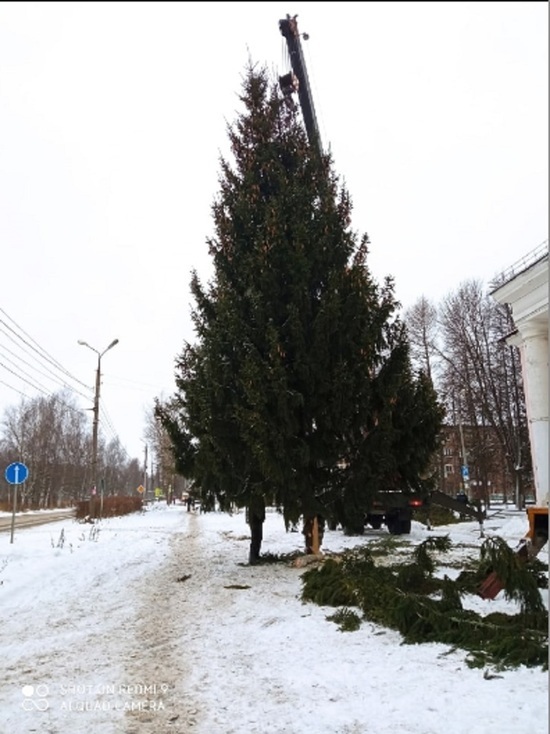 В Ярославле после критики горожан убрали «лысую» елку