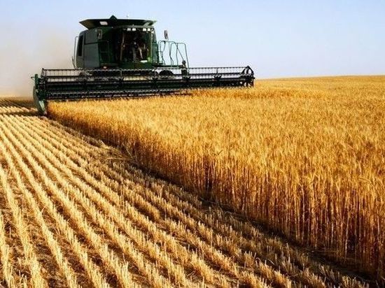 На поддержку фермеров в Удмуртии в 2020 году направили 377 млн рублей