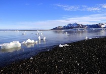 Новый прогноз показывает, что таяние гренландских ледников приведет к более высокому подъему уровня мирового океана, чем считало ранее.