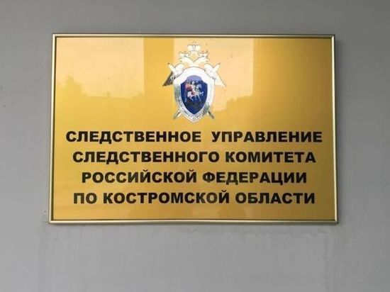 В Костроме суд отправил педофила на 15 лет в колонию