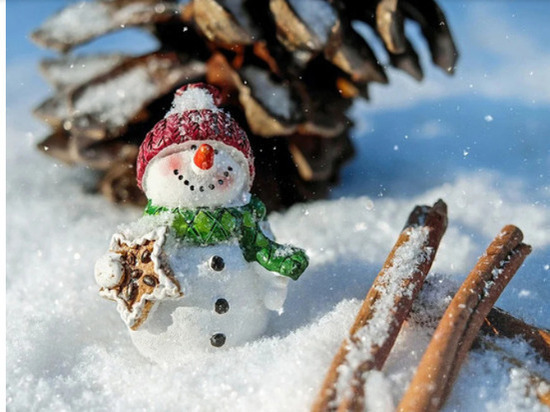 Минкульт ДНР знакомит жителей с новогодними традициями земляков