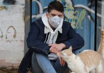 Коронавирусы домашних кошек и собак могут мутировать, о том, насколько это опасно для человека, рассказала ветеринар Ангелина Сиротина