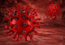 Число подтвержденных случаев заражения коронавирусом в Забайкалье за сутки выросло на 257 и превысило 24,5 тысячи