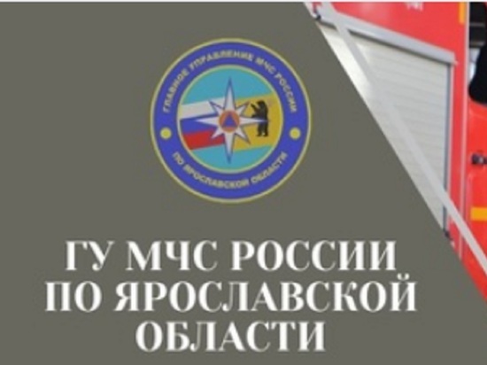 Главе ярославского МЧС поставят на вид