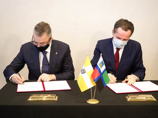 Ставрополье и Белгородская область станут сотрудничать в АПК