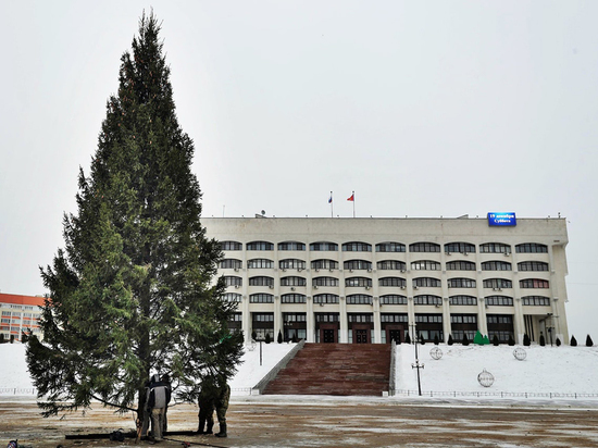 На площади у здания администрации Владимирской области установили 18-метровую новогоднюю ель