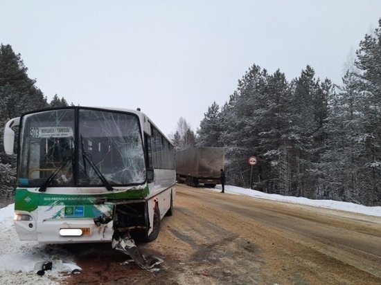 В Тамбовской области грузовик столкнулся с пассажирским автобусом