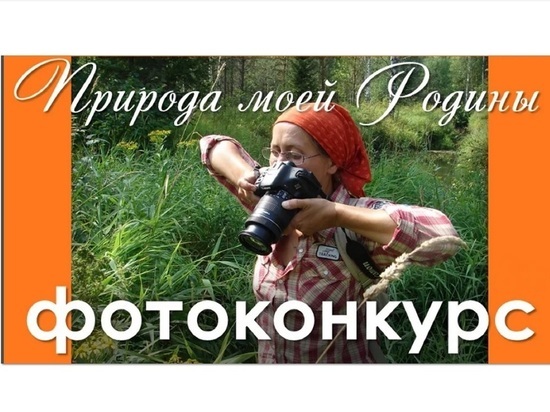 Костромские фотографы поразили жюри конкурса «Природа моей Родины»
