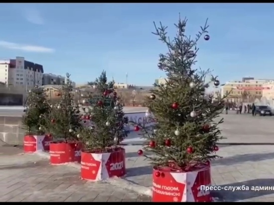 Елки с названиями столиц регионов ДФО появились на площади Ленина в Чите