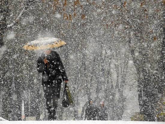Синоптики ожидают транспортный коллапс в Москве из-за сильнейших снегопадов