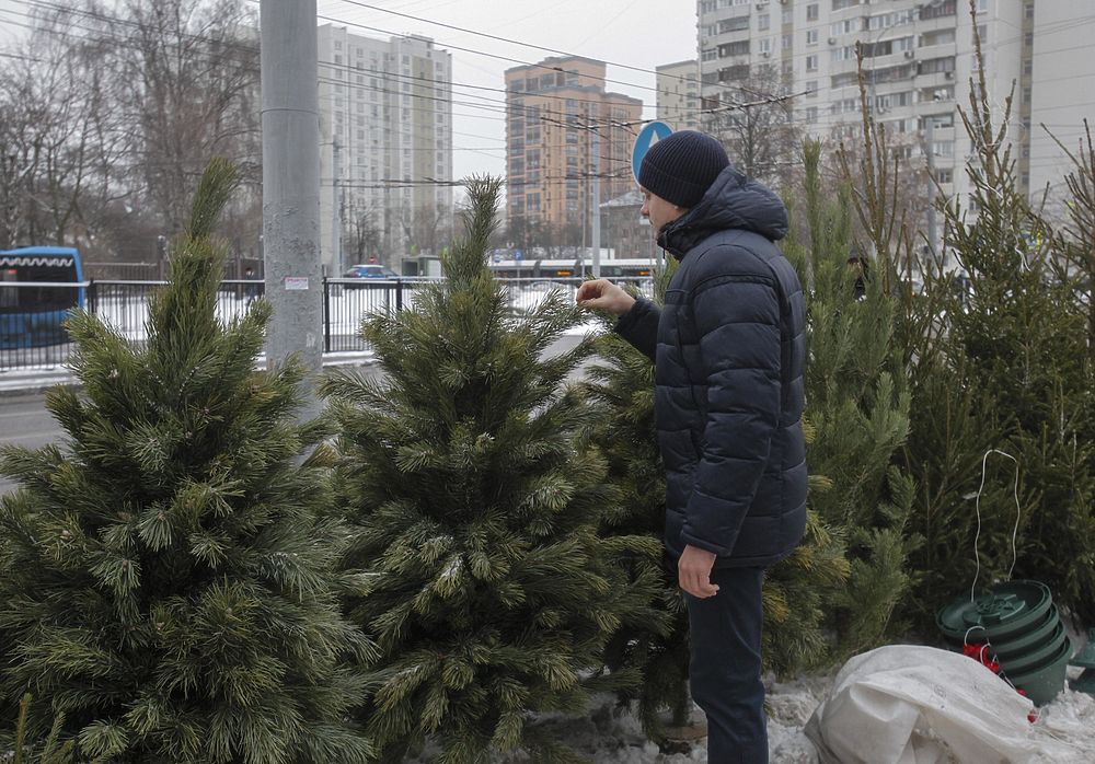 Когда открываются елочные базары. Елочные базары в Москве 2020. Ёлочные базары Барнаул 2021. Елочные базары в Камышине. Елочный базар в Новокосино 2021.