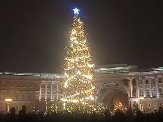 На Дворцовой площади официально зажгли главную елку Петербурга