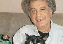 21 декабря не стало детского писателя, одного из авторов мультипликационного сериала «Ну, погоди!» Александра Курляндского