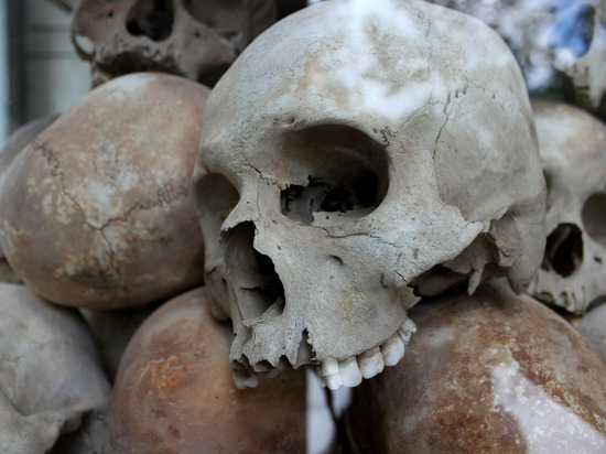 В Гатчине нашли расфасованный по пакетам мумифицированный труп