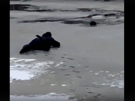 Опубликовано видео спасения собаки из реки в Твери