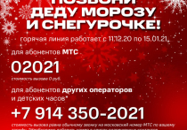 Любимые новогодние герои - Дед Мороз и Снегурочка – в преддверии праздника вновь получили свой выделенный номер телефона