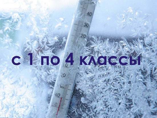 Ученикам начальных классов Ноябрьска разрешили остаться дома из-за мороза