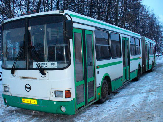 Костромские автобусы оказались самыми дешевыми в ЦФО