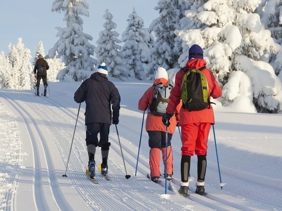 Спортсмены смогут бесплатно провозить лыжи и сноуборды в электричках Тверской области
