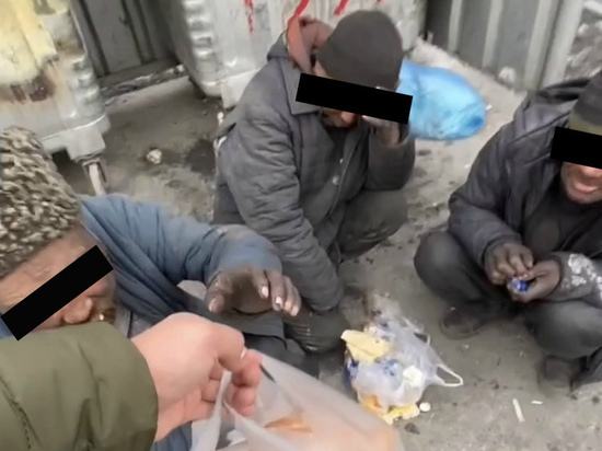 В Кыргызстане тиктокеры осудили видео помощи бездомным