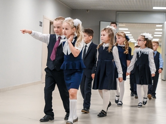 Школьники Челябинской области могут продолжить занятия после начала досрочных каникул