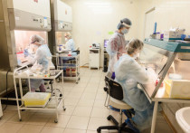 Общее число подтверждённых случаев заболевания новой коронавирусной инфекцией в Мурманской области составляет 33 667