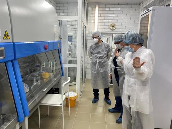  Лаборатория ПЦР-диагностики в Сортавале поможет снизить нагрузку на петрозаводские лаборатории