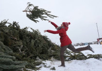 Почти сразу после того, как в новогоднюю ночь закроются елочные базары, московские коммунальщики начнут монтаж пунктов приема отработавших свое новогодних деревьев