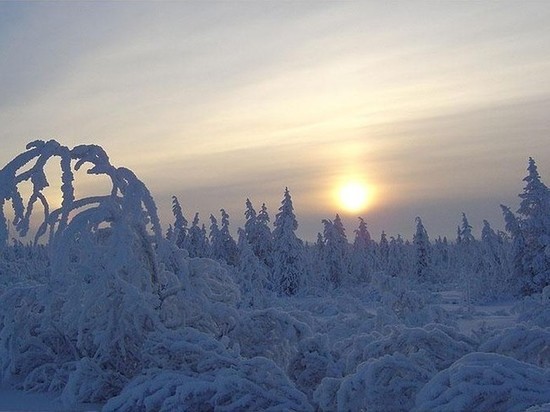 24 октября в Якутии ожидается морозная погода с туманами
