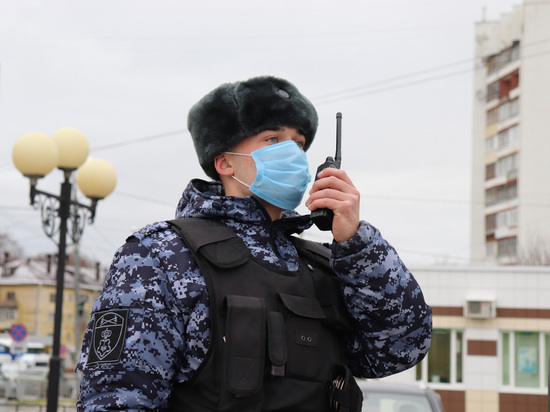 В Козьмодемьянске задержан находящийся в федеральном розыске дебошир