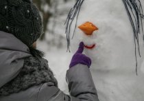 Зимние каникулы у школьников ДНР будут длиться с 31 декабря 2020 по 11 января 2021 года