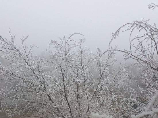 В Калмыкии  сегодня плохая погода: сильный гололед и изморозь