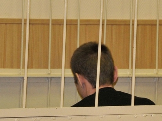 В Хакасии суд вынес приговор абаканскому педофилу