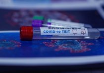 В Забайкалье за последние сутки скончались пять человек с подтвержденным диагнозом COVID-19