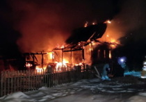 На пожаре в поселке Марий Эл огнеборцы нашли тела двух женщин.